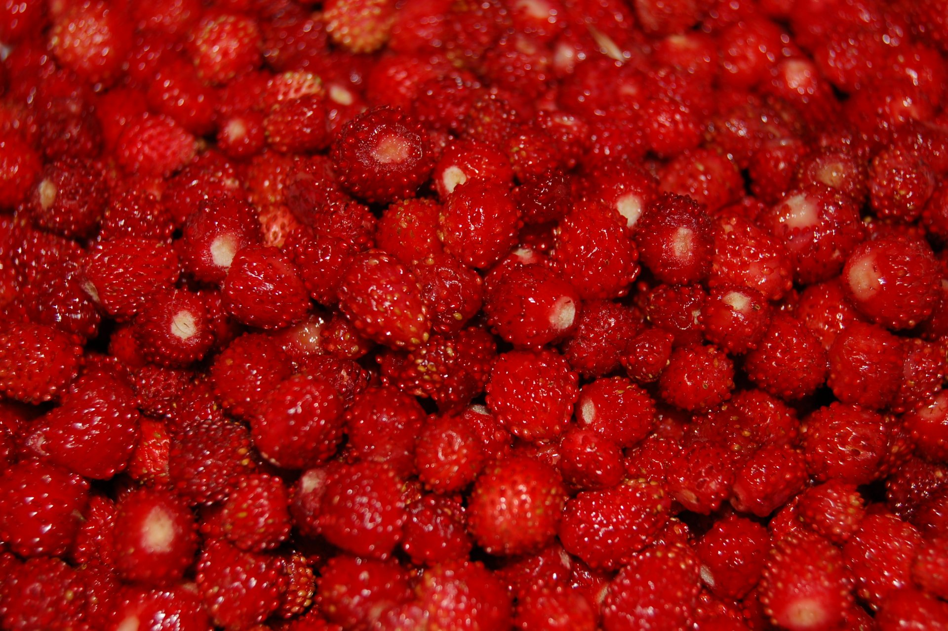 trawberry berries many