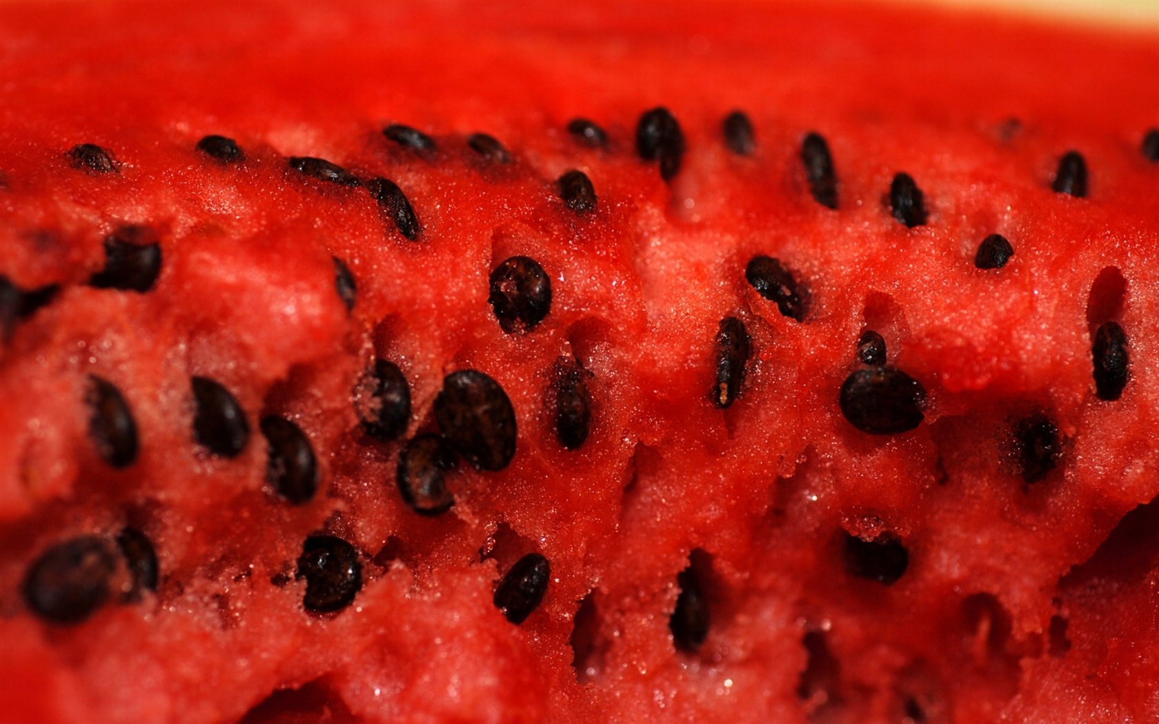 watermelon pulp bone