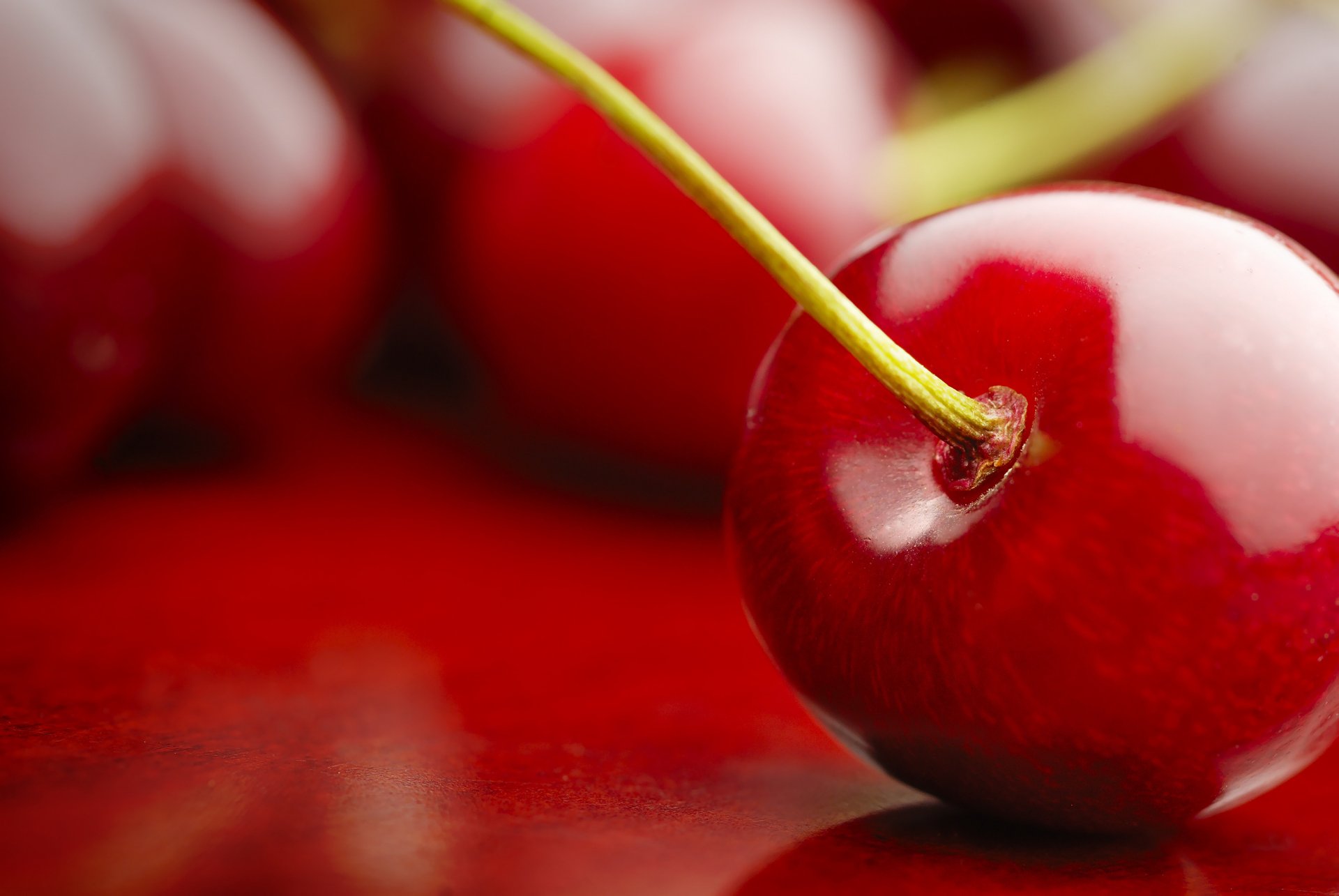 gros plan nature fruits cerise cerise rouge fruits