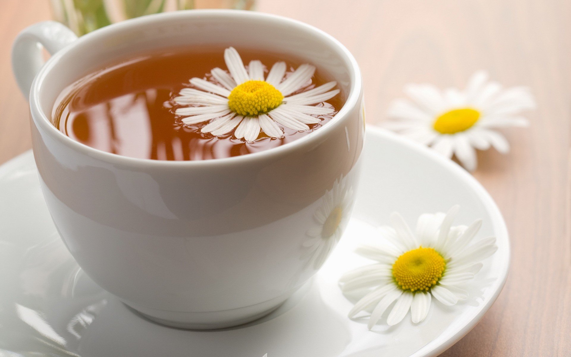 tea daisy tender