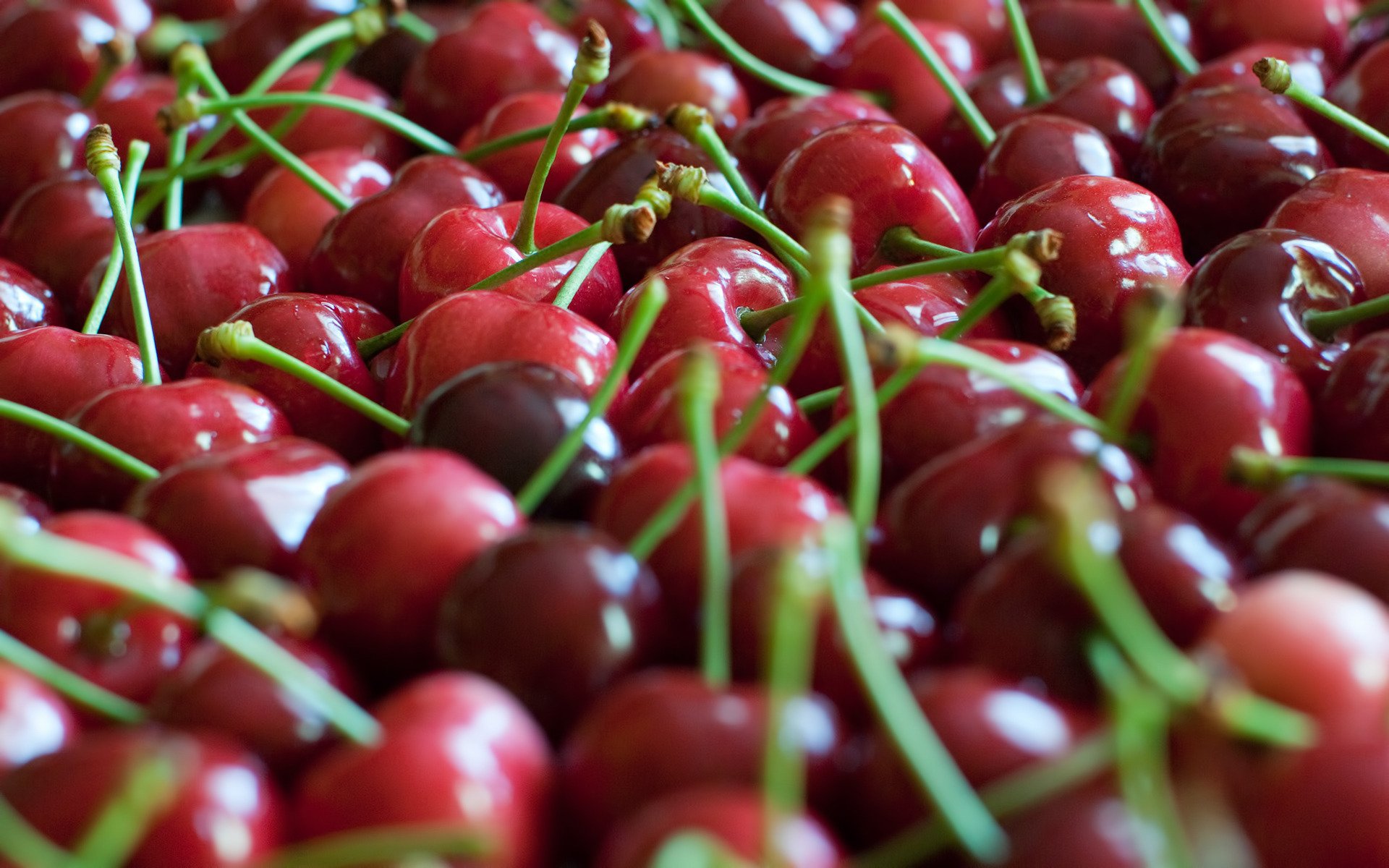 berries cherry many red focu