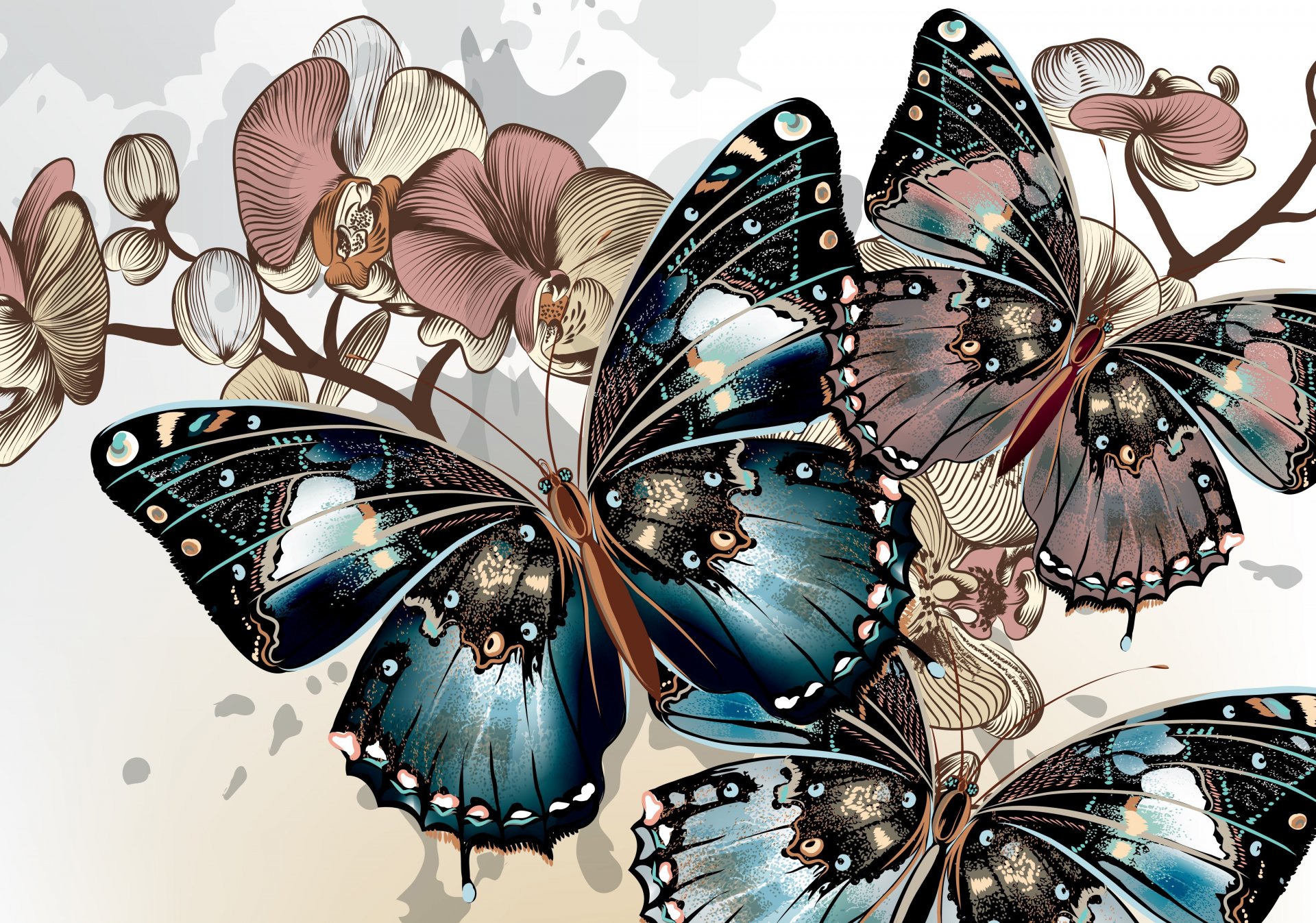 butterfly vector wings color flowers background