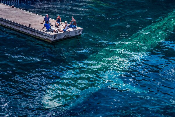 Die Leute am Pier sahen einen Wal im Meer