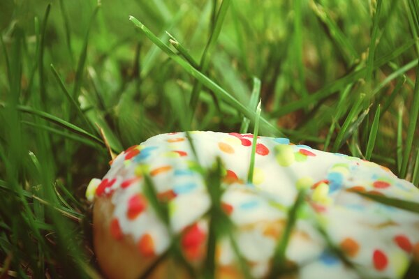 Entlaufener Donut im Gras auf dem Rasen