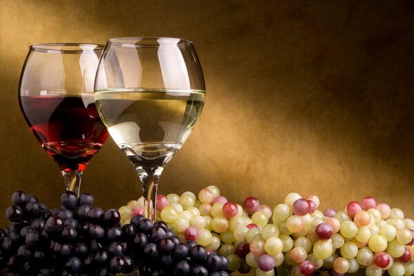 Two glasses of wine with grapes