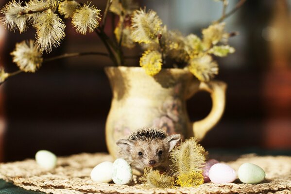 Igel auf dem Hintergrund einer Vase mit Wachteleiern