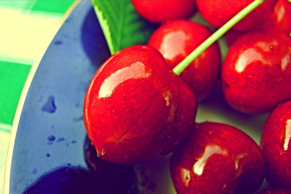 Macro photo of ripe delicious cherries