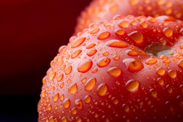 The most useful vegetables. tomatoes