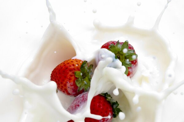 Fresas y fresas en crema