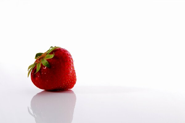 La fraise solitaire repose sur une surface brillante blanche et se reflète dans celle-ci