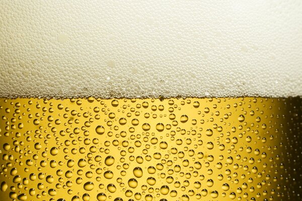 Drops of fresh beer in foam