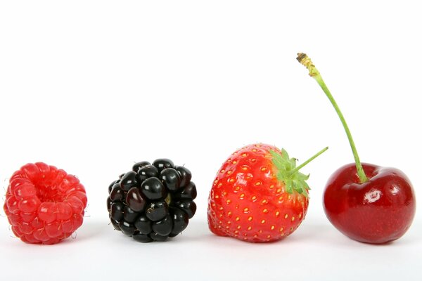 Die saftigsten Beeren warten