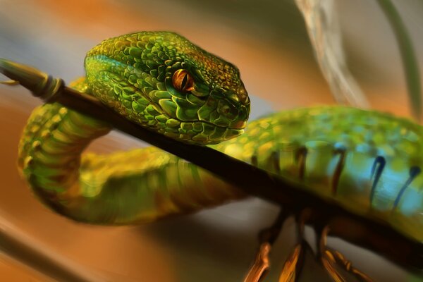 Serpente verde che striscia lungo un ramo