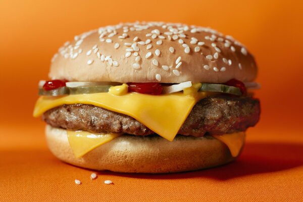 Hamburger de pain juteux avec du fromage