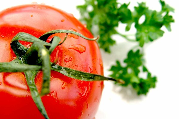 Pomodoro rosso e prezzemolo verde