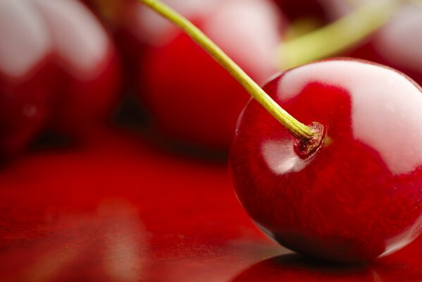 Cherry. cherry ompot