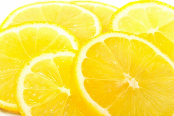 Gently sliced citrus fruits