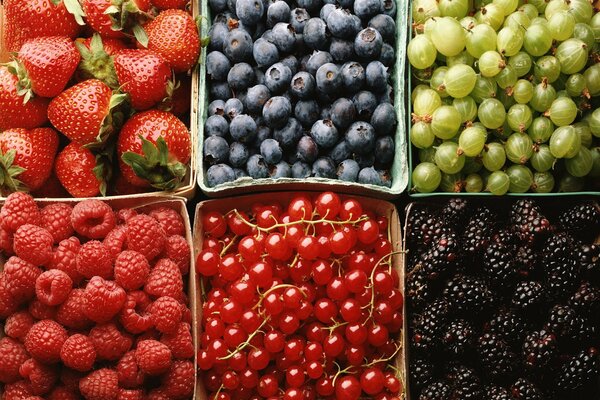 Berry assortment of raspberries, strawberries, blueberries, currants, gooseberries and blackberries