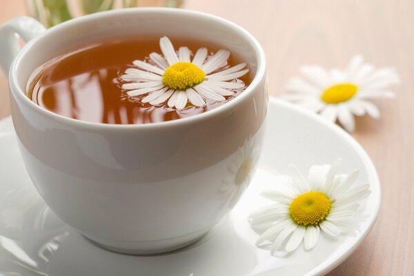 Té de manzanilla en una taza blanca y con flores de manzanilla