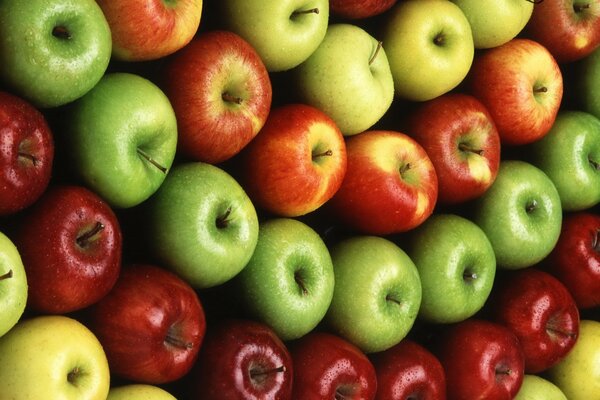 Zielone i czerwone jabłka leżą w rzędach