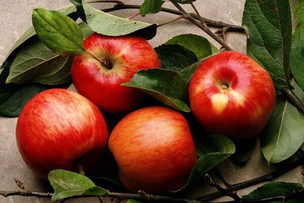 Pommes rouges se trouvent sur la table