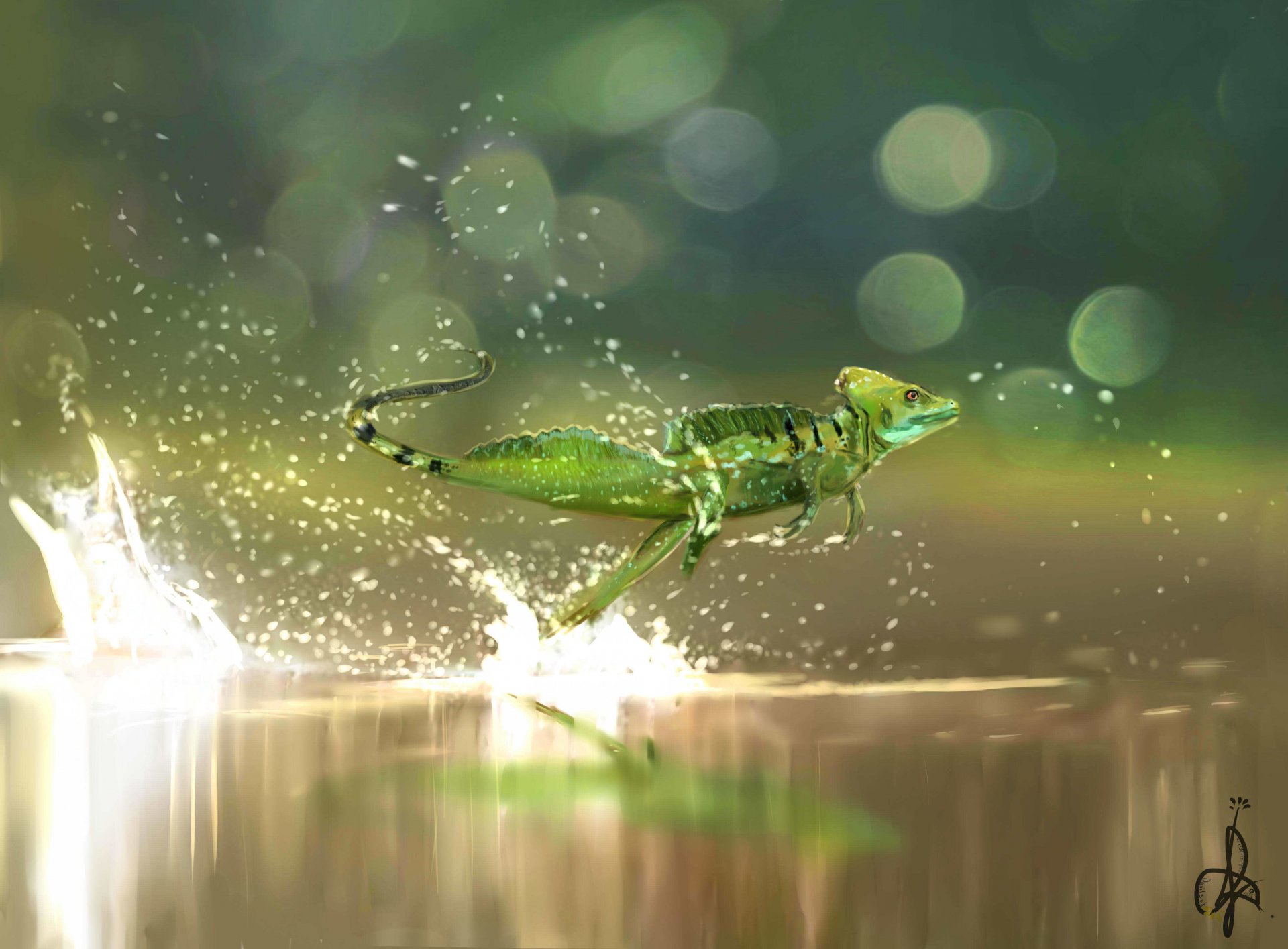 hlemnosny basilisk lizard water spray running speed nature asta art reptile art by asta wallpaper beauty flower palma