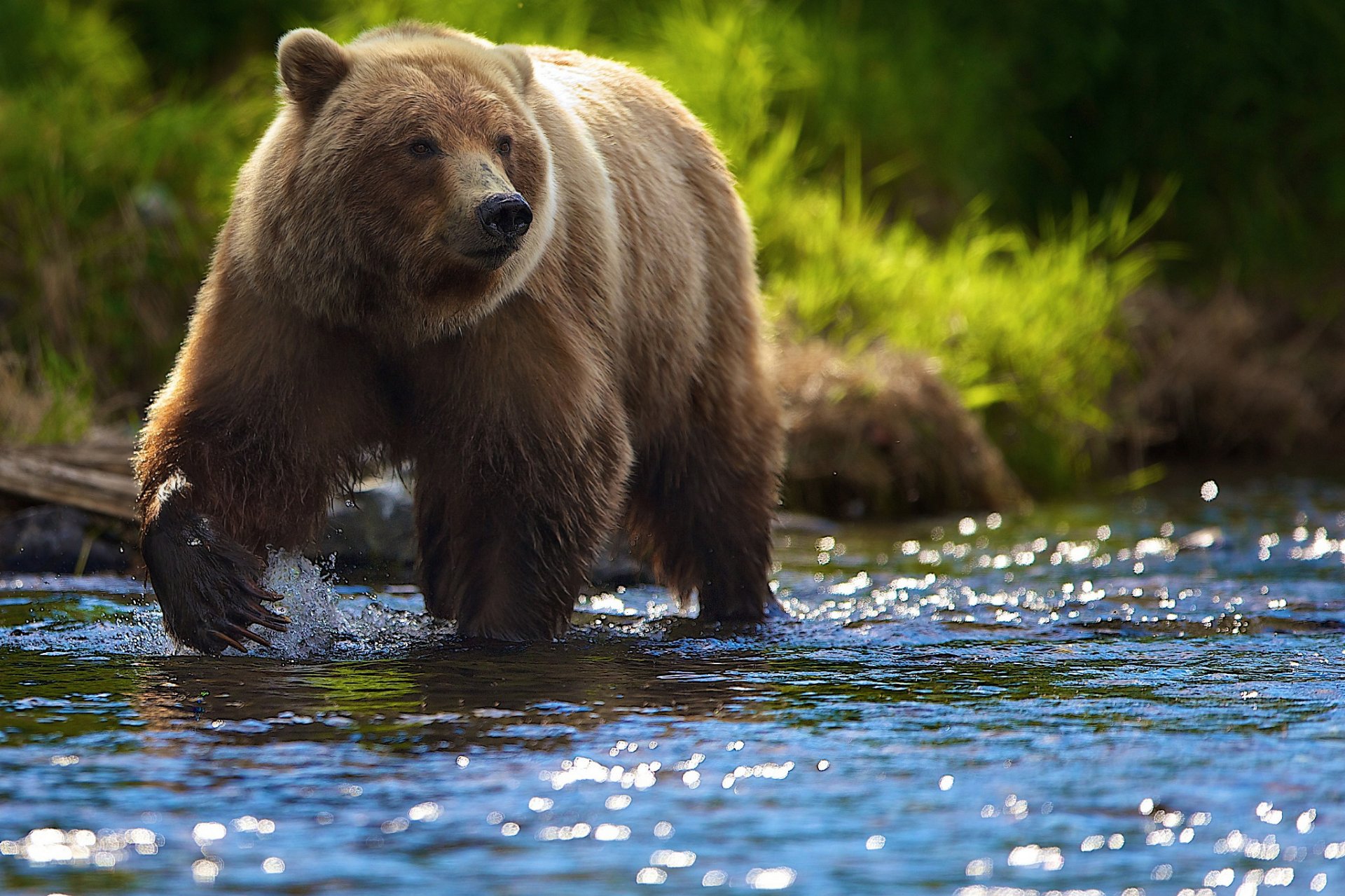 bear river sun reflections summer