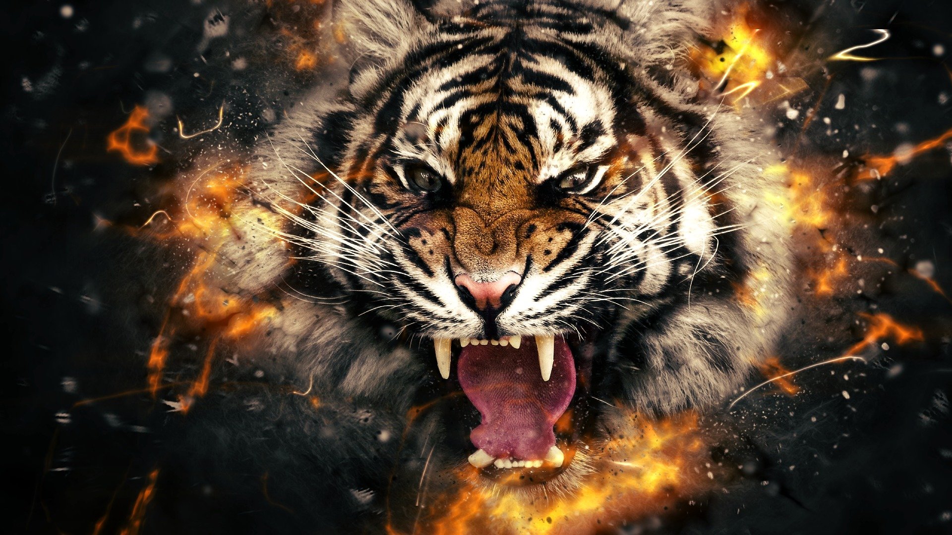 tigre testa fuoco