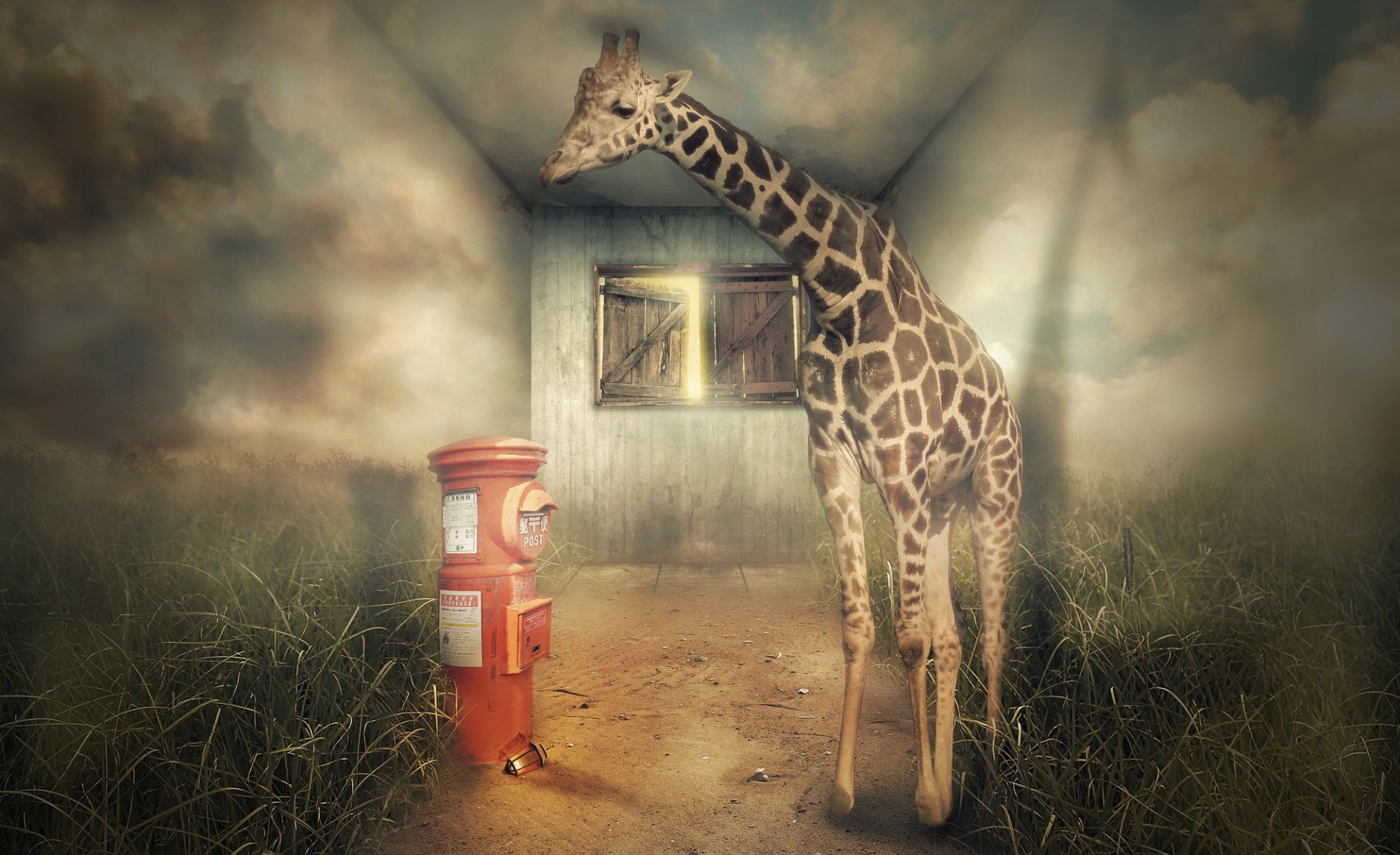 giraffe house background