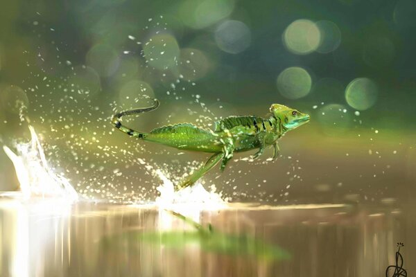 The beauty of a lizard in motion against the backdrop of beautiful nature