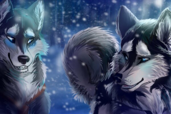 Два влюбленных волка зимой