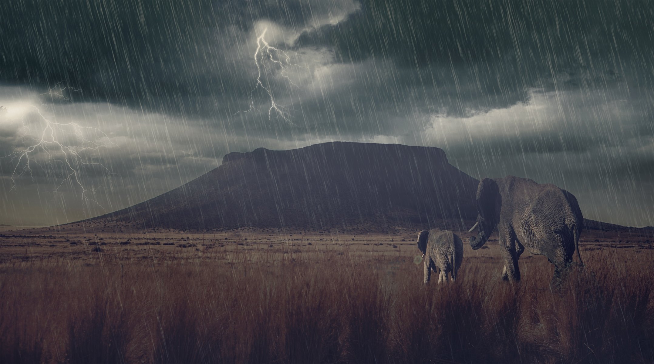 elefantes bebé elefante sabana tormenta relámpagos lluvia montaña