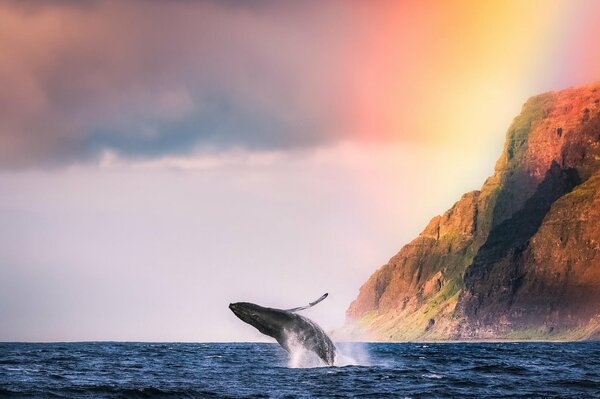 In the ocean, a whale splashes next to a high mountain