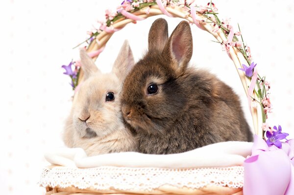 Deux lapins de Pâques dans un panier pour Pâques
