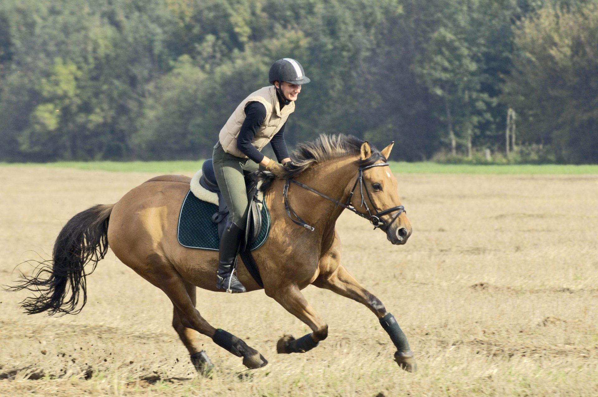 horse girl rider running the field