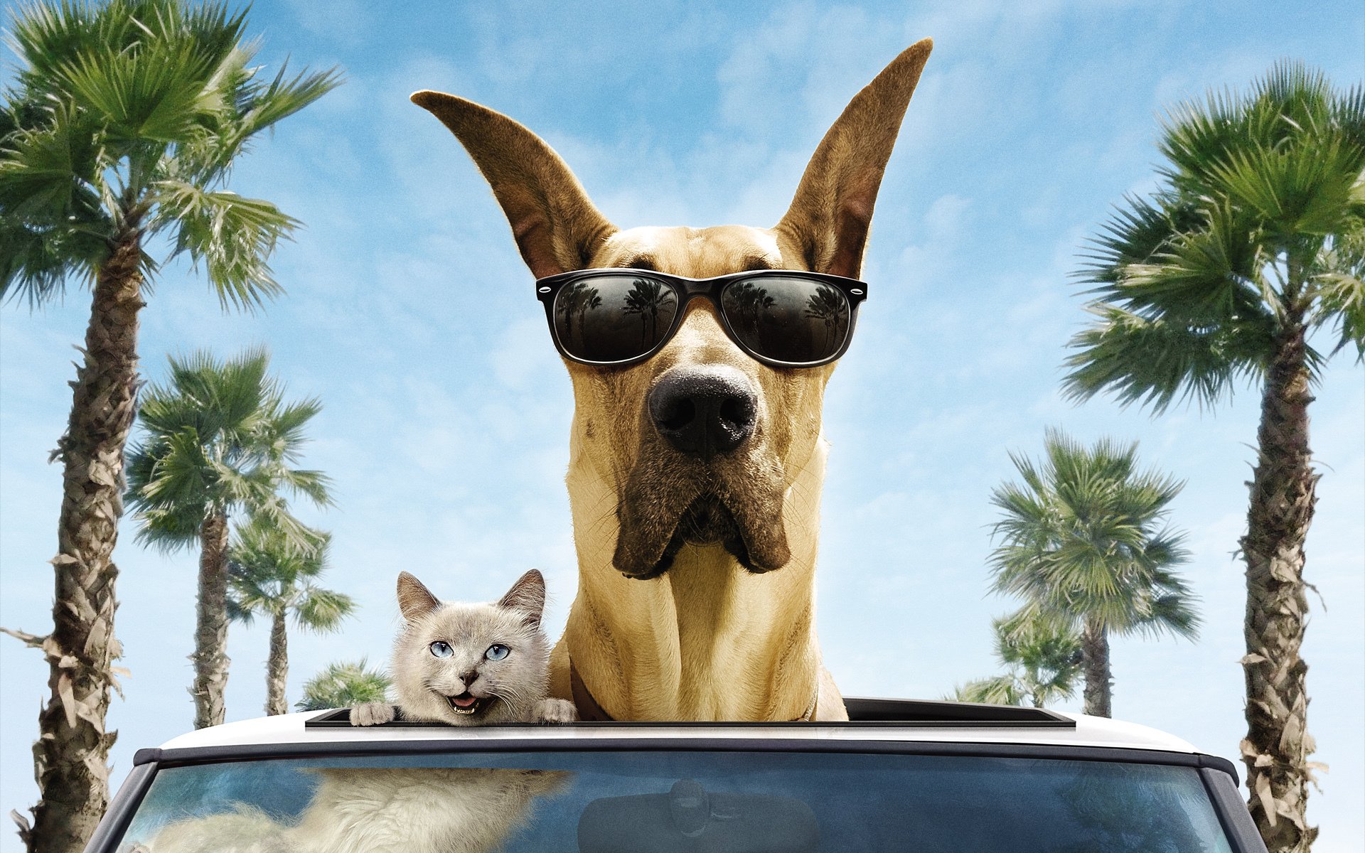 cat dog great dane smile car glasses palm trees trees wind marmaduke marmaduke