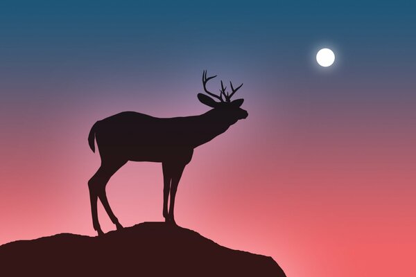 Das Bild ist minimalistisch, ein einsamer Hirsch, der bei einem leuchtend rosa Sonnenuntergang auf den Mond schaut