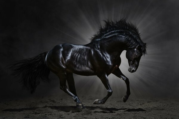 The horse waves its mane in the night