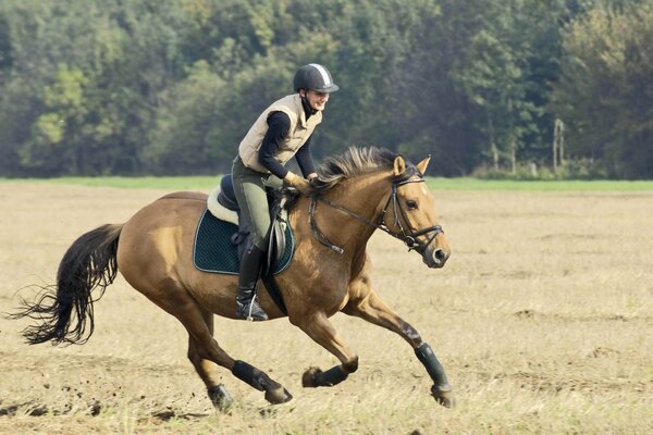 Une fille à cheval ????