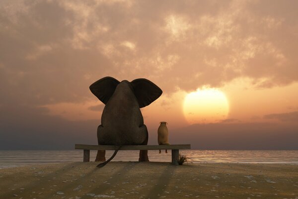 Grand éléphant et petit chien regardant le coucher du soleil