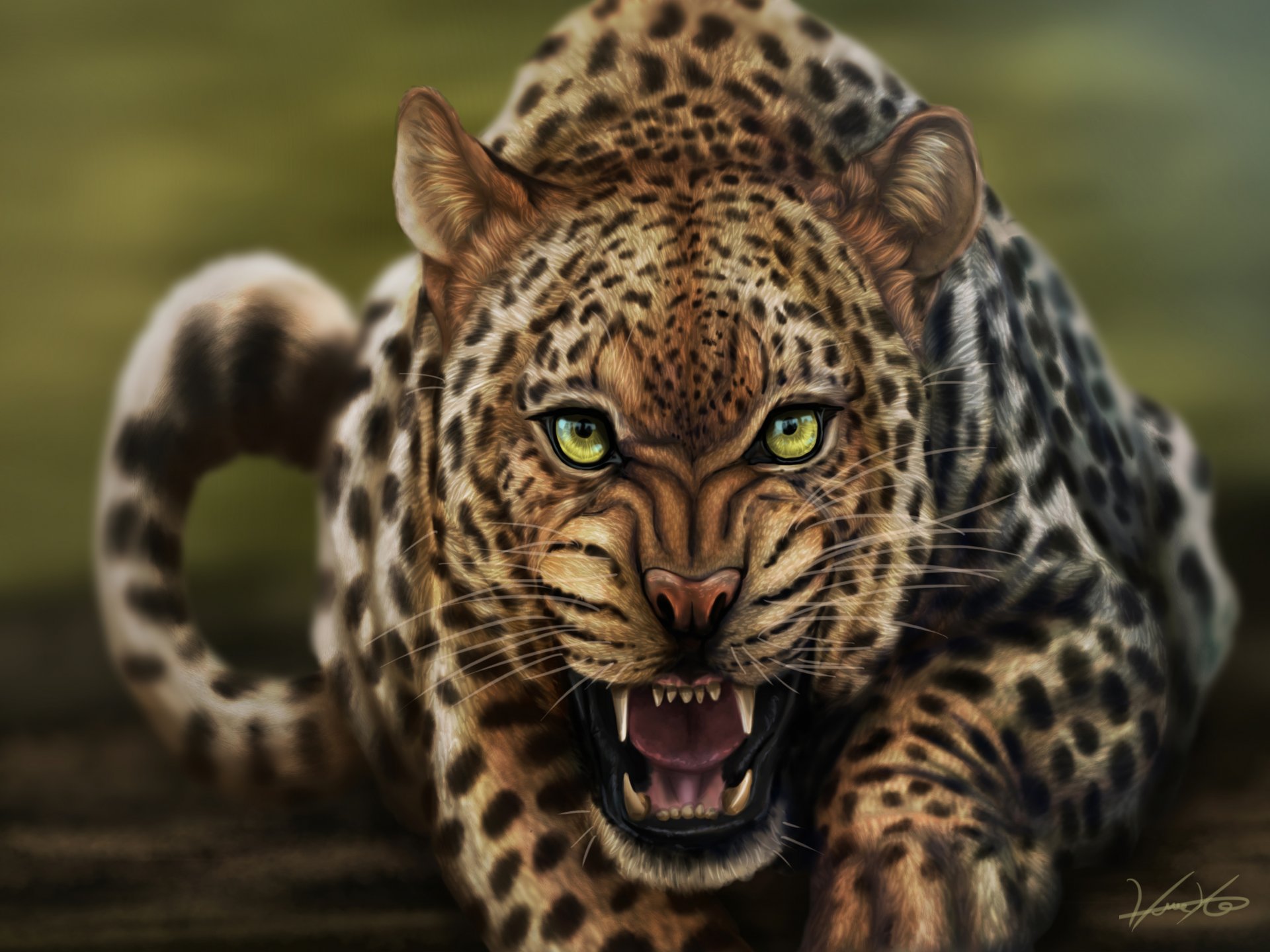 leopardo gato hocico gruñido mirada arte