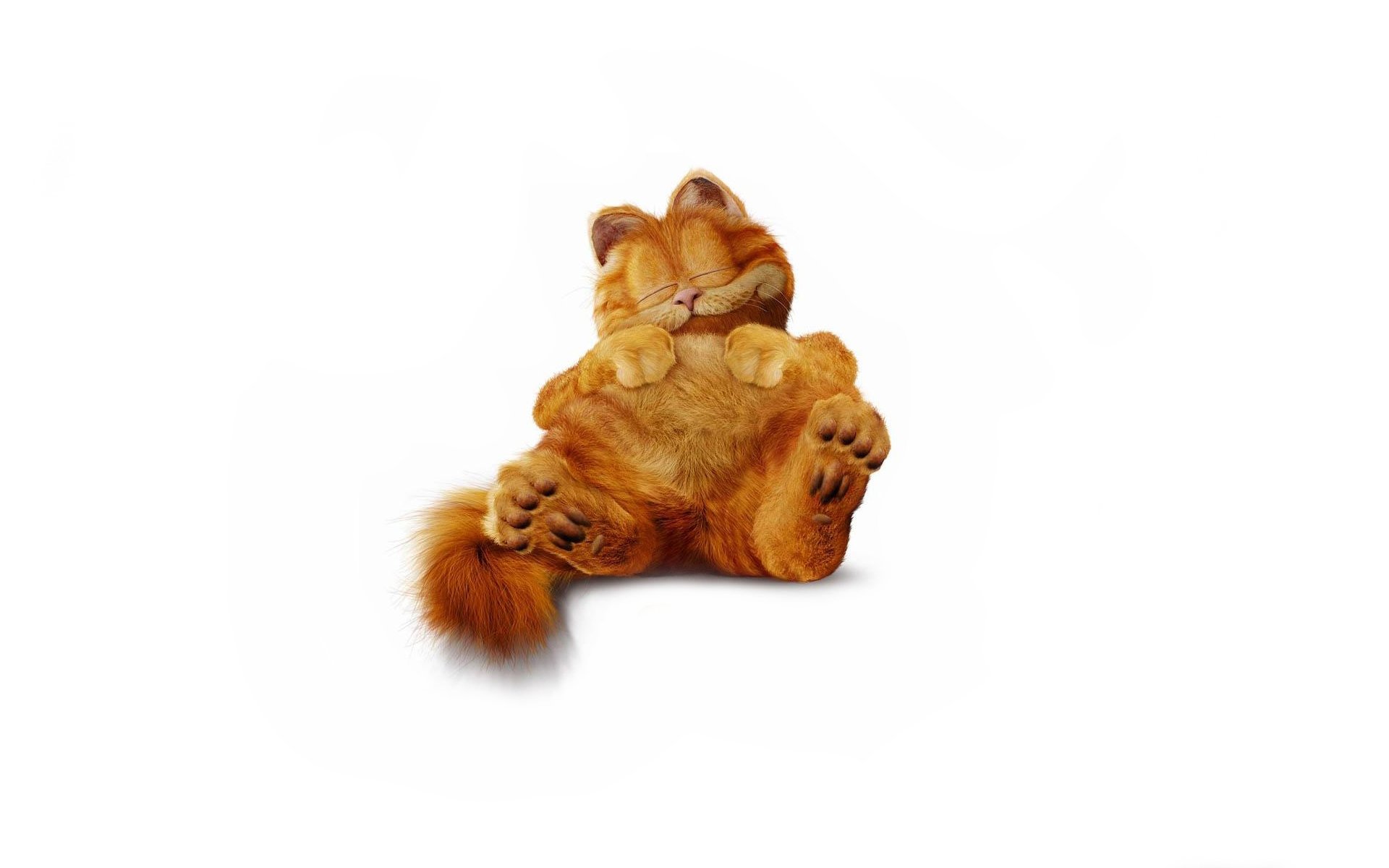 garfield katze rot schläft pelzig minimalismus