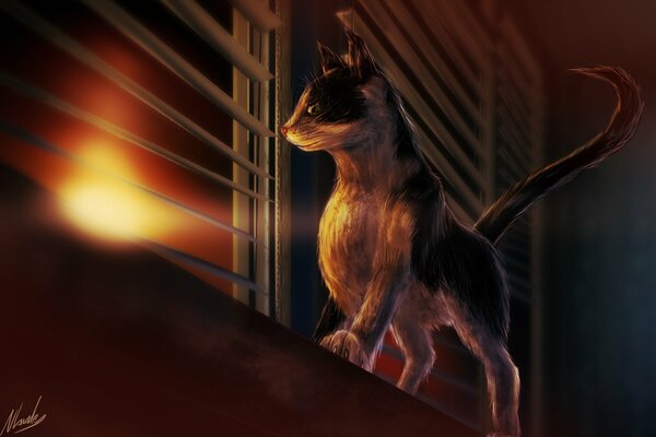 Arte gatto guardando screpolature persiane al tramonto