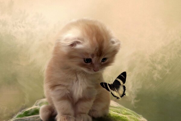 Flauschige Kätzchen und Schmetterling auf verschwommenem Hintergrund