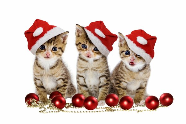 Три котенка новогоднее настроение
