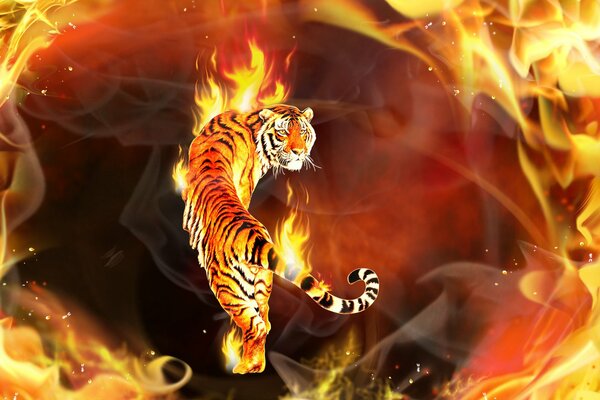 Tiger on fire beautiful photo