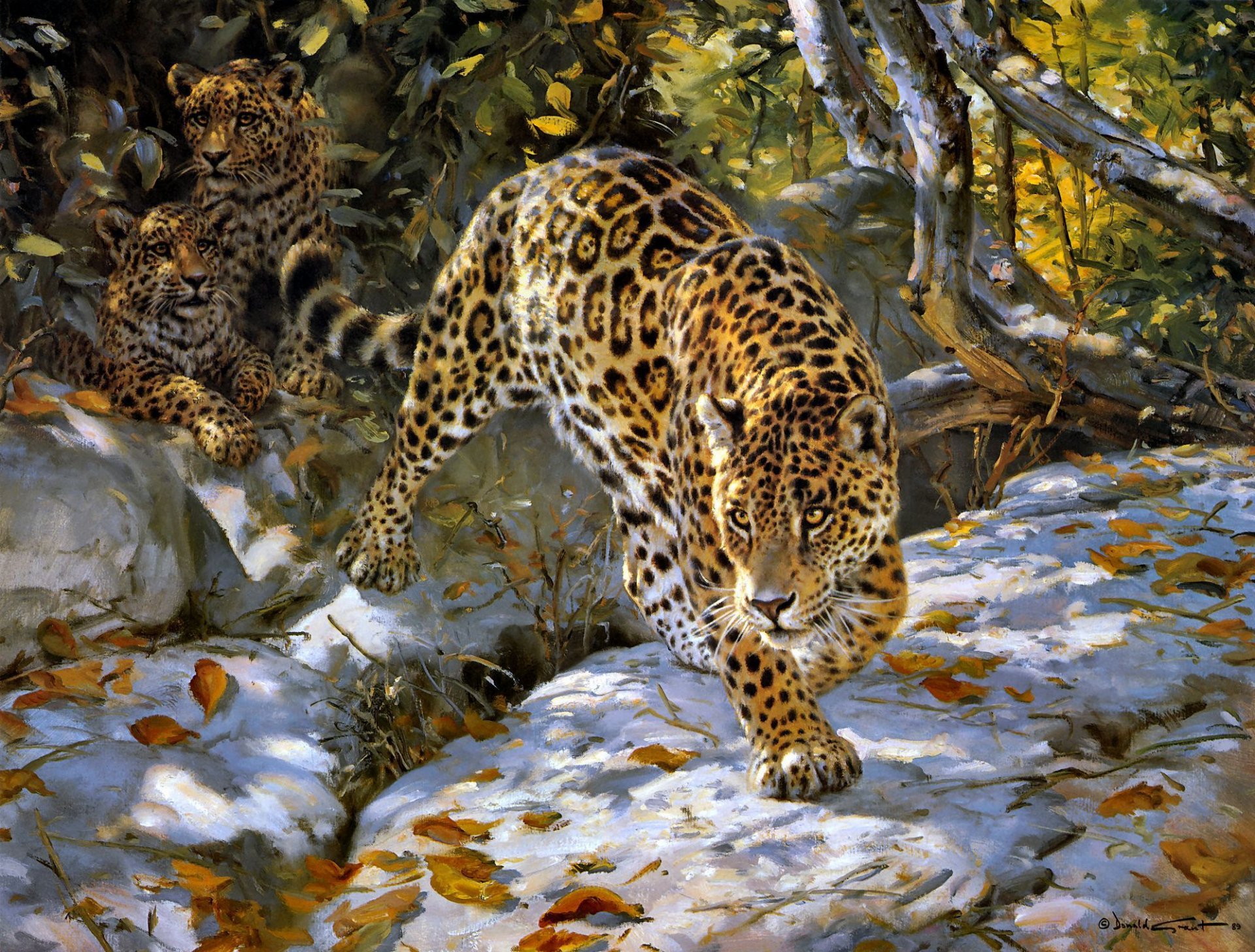 donald grant jaguar herbst kunst