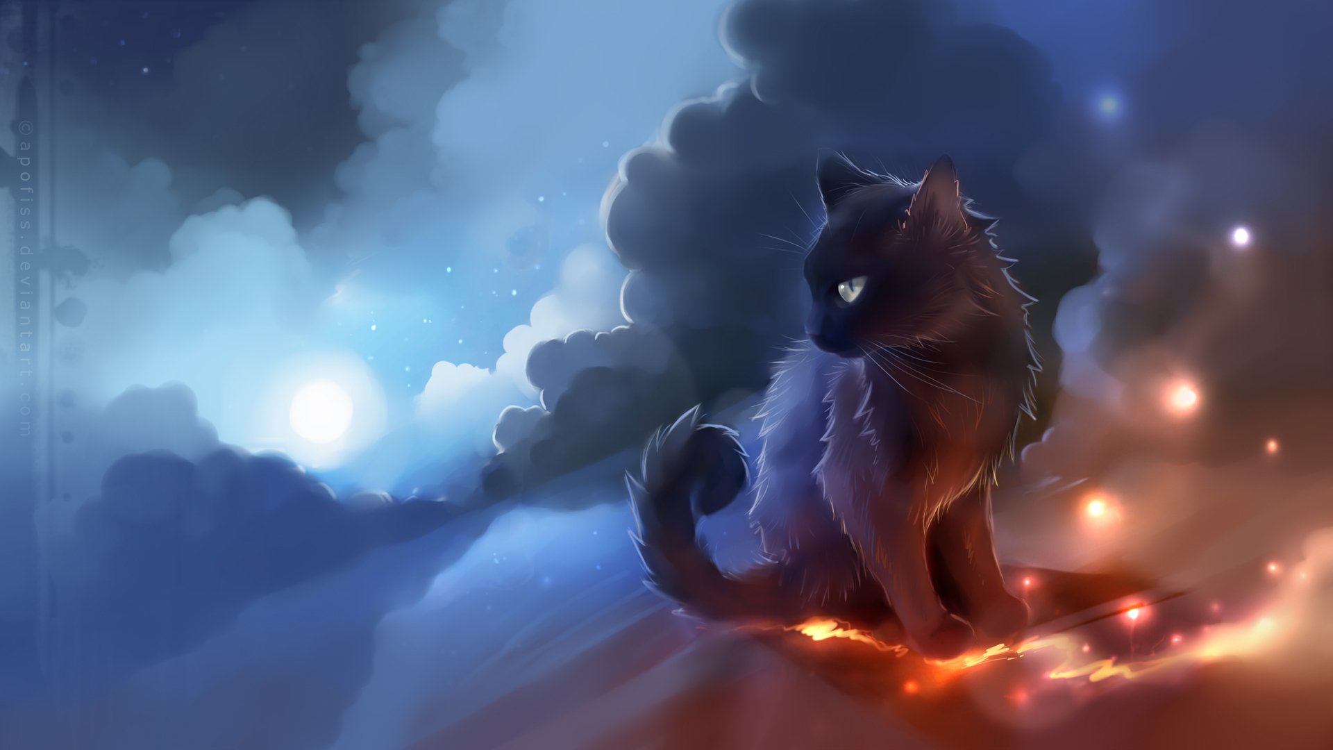 gatto cielo nuvole luna luci apofi
