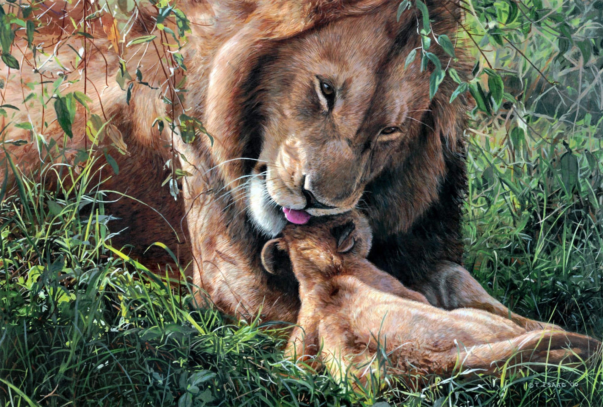 terry isaac fête des pères lion paternité belette art