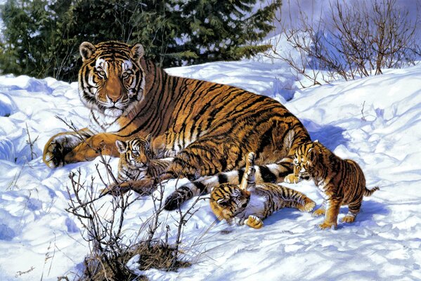 Тигрица и ее тигрята играют на снегу